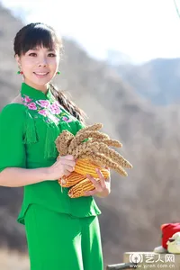 王二妮