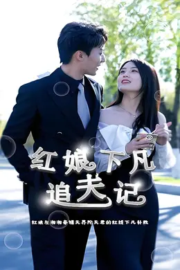 红娘下凡追夫记