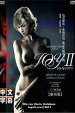 法国作家joy