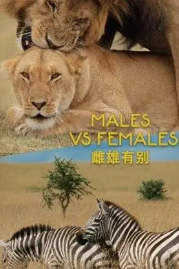 雌雄有别