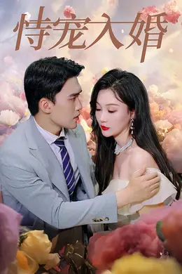 恃宠入婚
