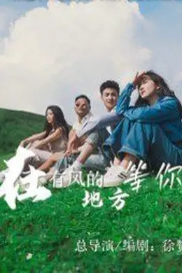 在有风的地方等你海报