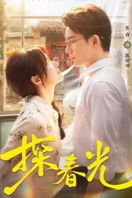 探春光