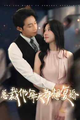 总裁他每天都想复婚