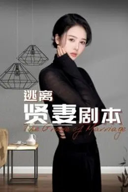 逃离贤妻剧本