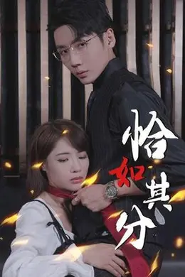 恰如其分
