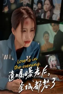 遗嘱曝光后,全城都怒了海报