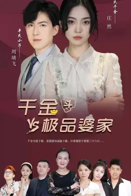 千金斗极品家婆