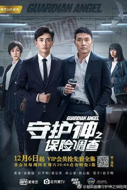 守护神之保险调查
