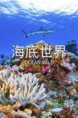 海底世界