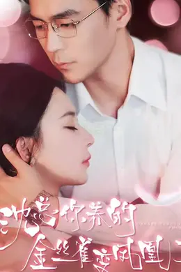 沈总你养的金丝雀变凤凰了