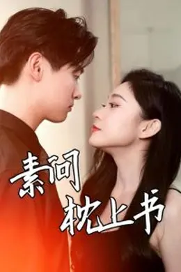 素问枕上书
