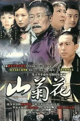 山菊花2009