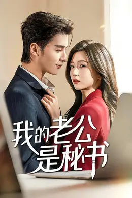 我的老公是秘书
