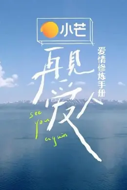 再见爱人爱情修炼手册