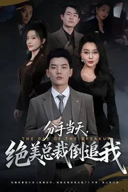 分手当天，绝美总裁倒追我