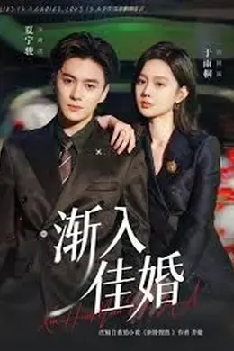 渐入佳婚第一部