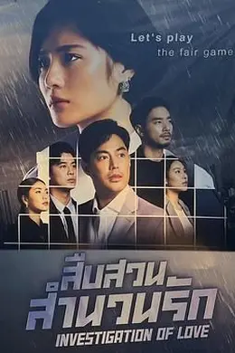 婚恋调查2