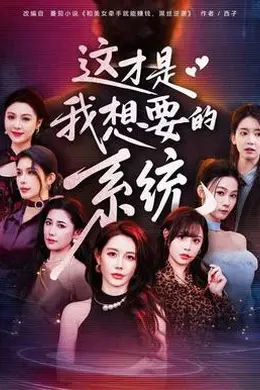这才是我想要的系统