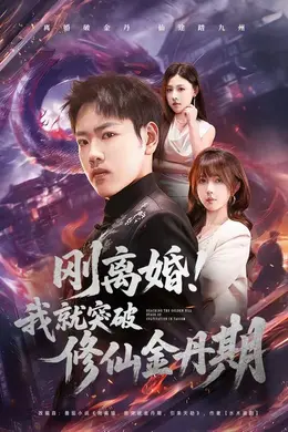 刚离婚！我就突破修仙金丹期