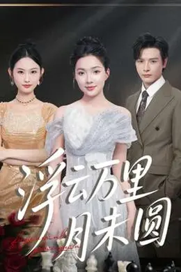 浮云万里月未圆海报