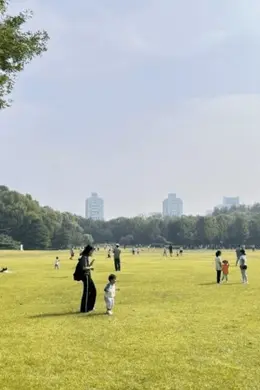 北京海淀公园中心草坪正式开放,总面积约2.3万平方米