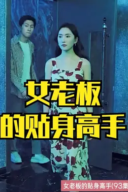 女老板的贴身高手