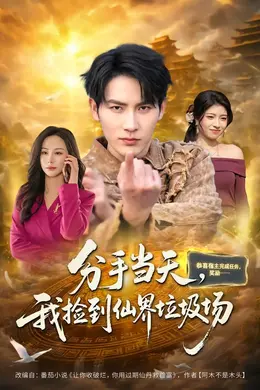分手当天，我捡到仙界垃圾场