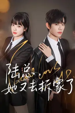 陆总，她又去拆家了