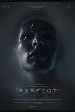 完美Perfect