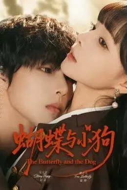 蝴蝶与小狗