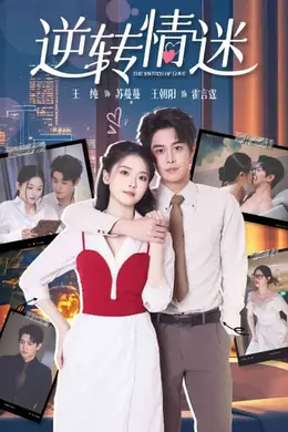 逆转情迷海报