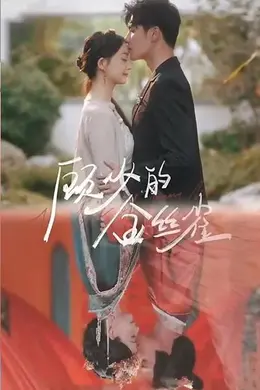 顾少的金丝雀