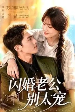 闪婚老公别太宠