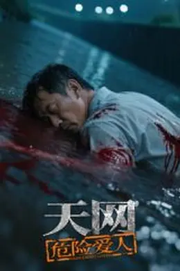 天网：危险爱人