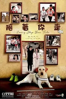 陪着你走2015