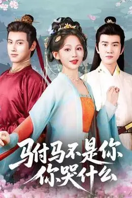 驸马不是你，你哭什么