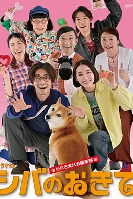 柴犬的规矩～我们这群狗痴编辑部～