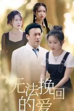 无法挽回的爱