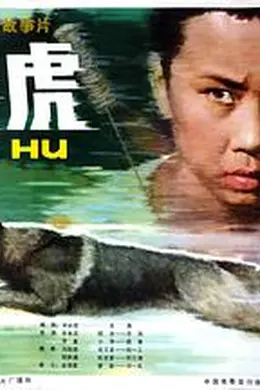 赛虎