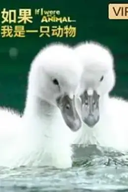 如果我是一只动物