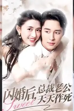 闪婚后总裁老公天天作死