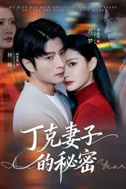 丁克妻子的秘密