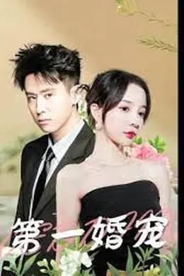 第一婚宠