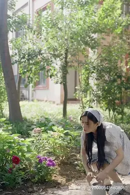 情深不悔