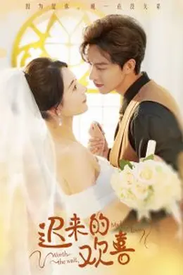迟来的欢喜短剧