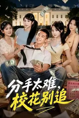 分手太难，校花别追