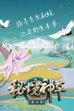 秘境神草 第四季