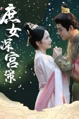 庶女深宫策
