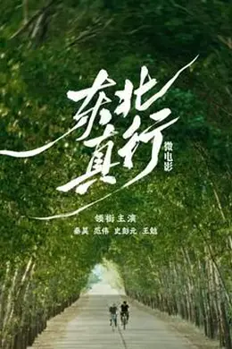 东北真行